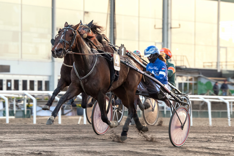 Evolution On Track målgång.jpg