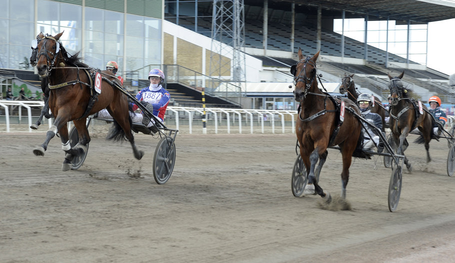 Red Mile Brodde mål.jpg