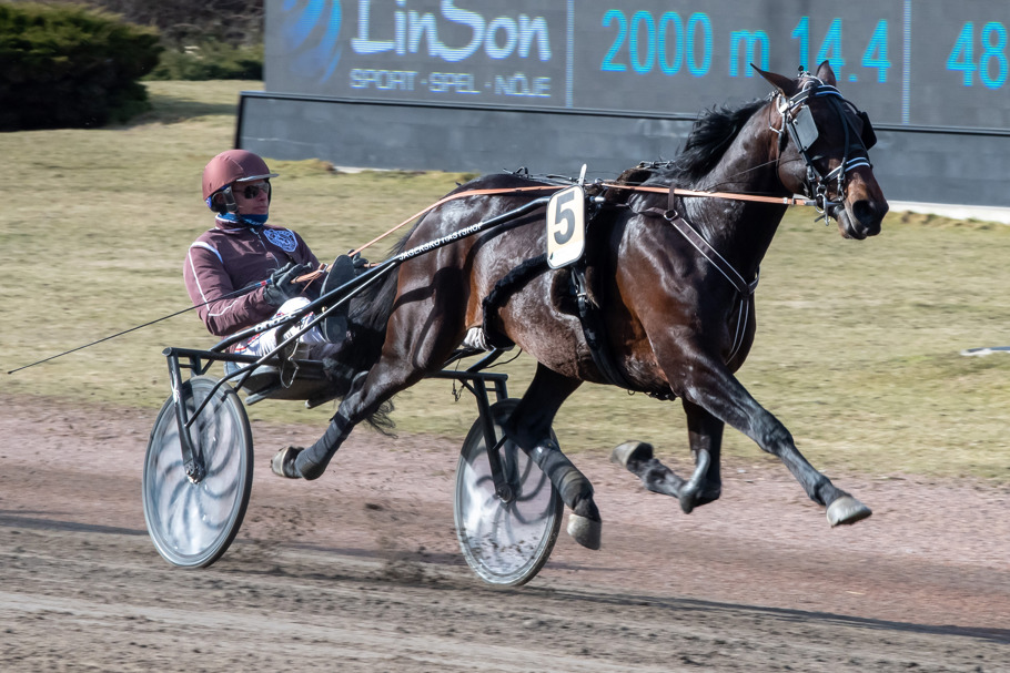 Oscar L.A. målgång.jpg