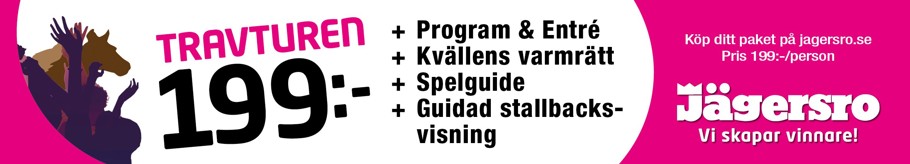 Travturen banner.jpg