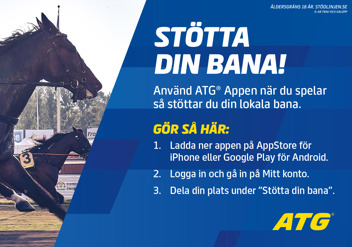 Digitalt_spel stötta din bana.jpg